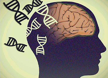 کشف مناطق جدید ژنتیکی در توسعه اسکیزوفرنی
